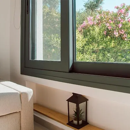 公寓 Andromahi & *